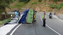 Mobil Truk Hino Bermuatan Pakan Ikan dan Ayam Terguling di Jalan Raya Pusuk KLU