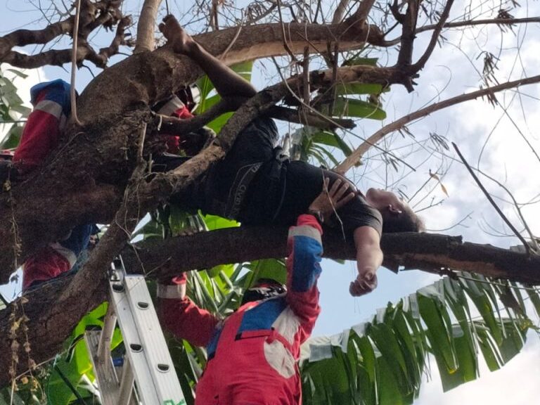 Evakuasi Seorang ABK di Tambora Tertidur Pulas di Atas Pohon