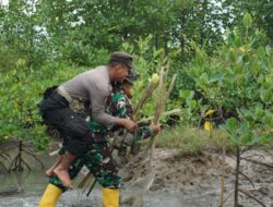 Tanam 2000 Pohon Mangrove, TNI-POLRI Wilayah Kodim 1606 Mataram Kuatkan Sinergitas