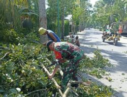 Babinsa Kuripan Timur Bantu Warga Cari Pakan Ternak