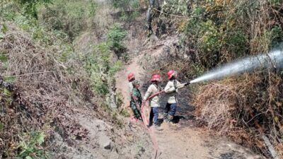 Babinsa dan Petugas Pemadam Kebakaran Cepat Tangani Kebakaran Hutan di PT. ASANO, Lombok Utara