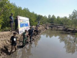 Babinsa, Bhabinkamtibmas dan PNM Cabang Mataram Tanam 7.000 Pohon Mangrove di Dusun Cemare, Lombok Barat