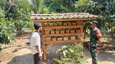 Sinergi TNI dan Pemdes: Babinsa Selat Kunjungi Ternak Lebah Madu Trigona demi Kemajuan Ekonomi Masyarakat
