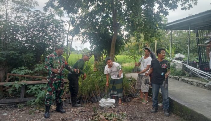 Kemanunggalan TNI-Rakyat, Babinsa Gerimax Indah Ajak Warga Lestarikan Lingkungan dengan Penanaman Pohon