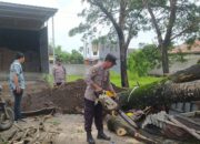 Kecamatan Kediri Diterjang Hujan Deras dan Angin Kencang
