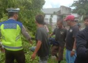 Perampingan Pohon di Jalan Raya Senggigi