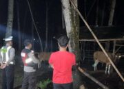 Polsek Sekotong Gelar Patroli Malam di Dusun Karang Kerem