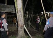 Polsek Sekotong Gelar Patroli Malam, Sasar Kandang Ternak dan Antisipasi 3C