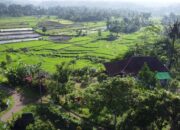 Bale Sipon dan Gujung Jae: Mengungkap Permata Tersembunyi di Narmada, Lombok Barat