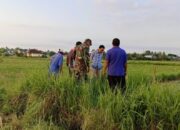 Dorong Produktivitas Pertanian: Peninjauan Lokasi Pompanisasi oleh Babinsa dan Tim Pertanian di Dusun Karang Sobor