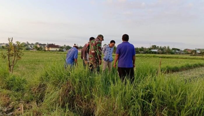 Dorong Produktivitas Pertanian: Peninjauan Lokasi Pompanisasi oleh Babinsa dan Tim Pertanian di Dusun Karang Sobor