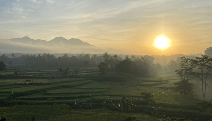 Bale Sipon “Little Ubud”: Destinasi Camping Baru di Wisata Alam Gunung Jae Dibuka dengan Tiket Terjangkau