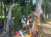 TNI Bantu Petani Lombok Barat Hadapi Kekeringan