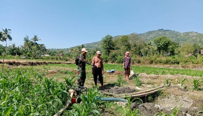 Pompa Air Swadaya, Solusi Efektif Babinsa dan Petani Kuripan untuk Panen Melimpah