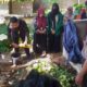 Kolaborasi Babinsa dan Dinas Pertanian: Pelatihan Kompos dan Sambung Bibit Kopi dan Durian