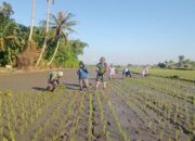 Aksi Nyata Babinsa Jempong Baru: Menggugah Semangat Petani di Sekarbela