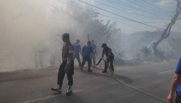 Sinergi TNI, Polri, dan Instansi Terkait Berhasil Padamkan Kebakaran Lahan di Lembar