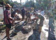 Gotong Royong Pulihkan Jalan Vital di Desa Selelos: Babinsa dan Warga Bersatu Bantu Petani