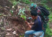 Sinergi Masyarakat dan TNI: 2.000 Bibit Pohon Ditanam di Hutan Seloka Lombok Utara untuk Pelestarian Alam