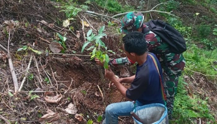 Sinergi Masyarakat dan TNI: 2.000 Bibit Pohon Ditanam di Hutan Seloka Lombok Utara untuk Pelestarian Alam