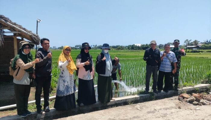 BSIP NTB Tinjau Pemanfaatan Bantuan Pompa di Subak Gondang, Babinsa Gondang Berikan Pendampingan