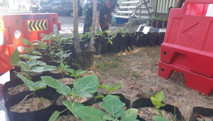 TNI Kodim 1606/Mataram Dorong Ketahanan Pangan Lewat Urban Farming