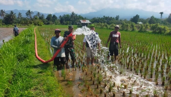 Babinsa Sigerongan Pastikan Optimalisasi Bantuan Pompa Air untuk Petani