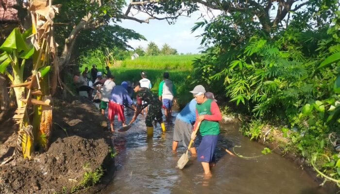 Bersama Babinsa, Warga Sigerongan Rawat Saluran Irigasi Pertanian