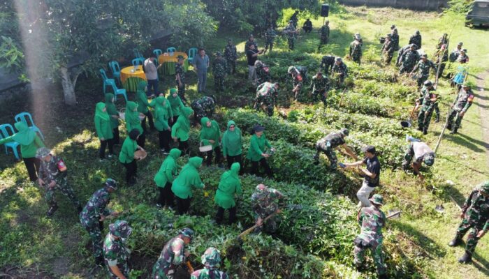 Panen Raya Kodim 1606: Sinergi TNI dan Petani Lokal 