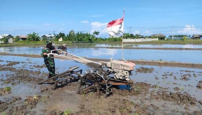 Babinsa Gondang Dampingi Petani Siapkan Lahan Tanam Padi