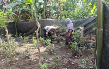 Sinergi Polri dan Masyarakat: Bhabinkamtibmas Babussalam Gerakkan Ketahanan Pangan Lokal