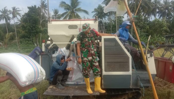 Program Ketahanan Pangan: Babinsa Dukung Petani di Batulayar 