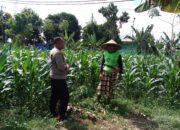 Bhabinkamtibmas Garda Depan Ketahanan Pangan di Lombok Barat