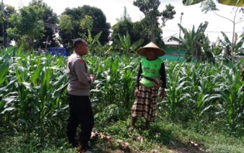 Bhabinkamtibmas Garda Depan Ketahanan Pangan di Lombok Barat