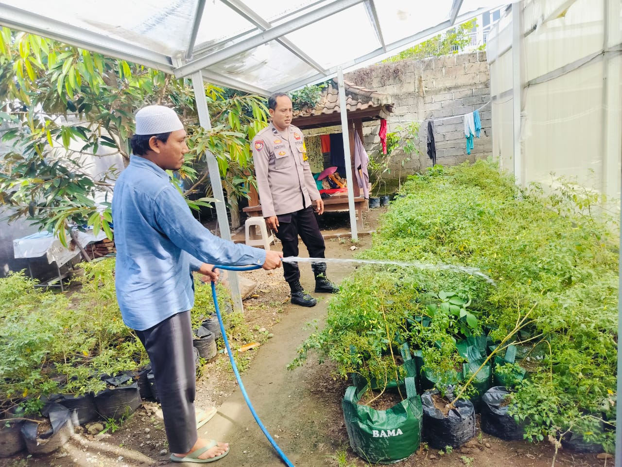 Bhabinkamtibmas Bajur Gerakkan Warga Manfaatkan Pekarangan Rumah untuk Ketahanan Pangan