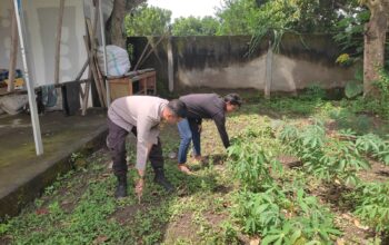 Polisi dan Petani Bersinergi: Bhabinkamtibmas di Labuapi Turun ke Sawah