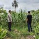 Bhabinkamtibmas Labuapi Dorong Petani, Ini yang Dilakukannya