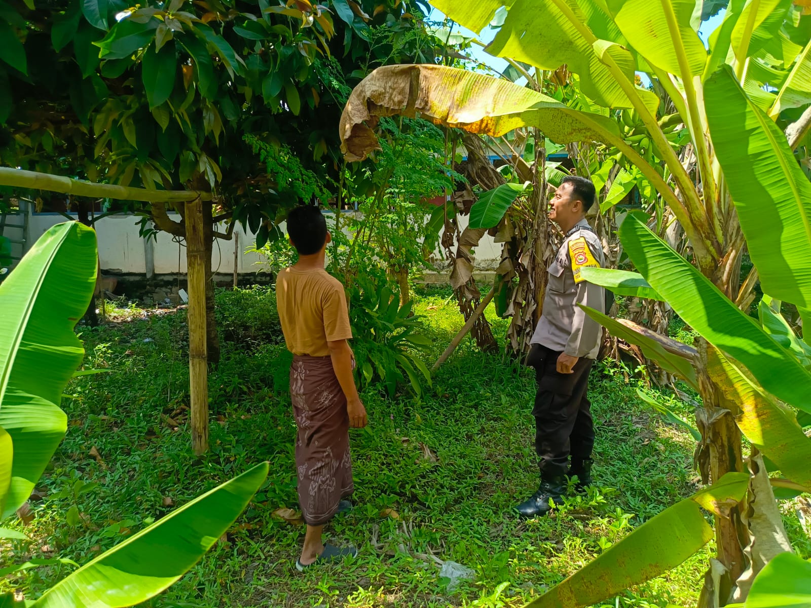 Ketahanan Pangan, Polisi Motivasi Warga Manfaatkan Pekarangan Rumah di Desa Perampuan