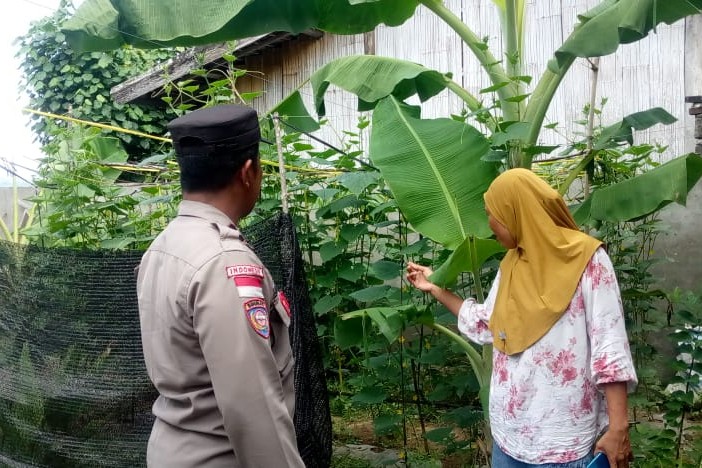 Pekarangan Bergizi di Sekotong Barat, Polri Berperan Aktif Dukung Ketahanan Pangan