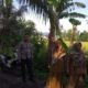 Lombok Barat Panen Raya, Polisi Kawal Ketahanan Pangan