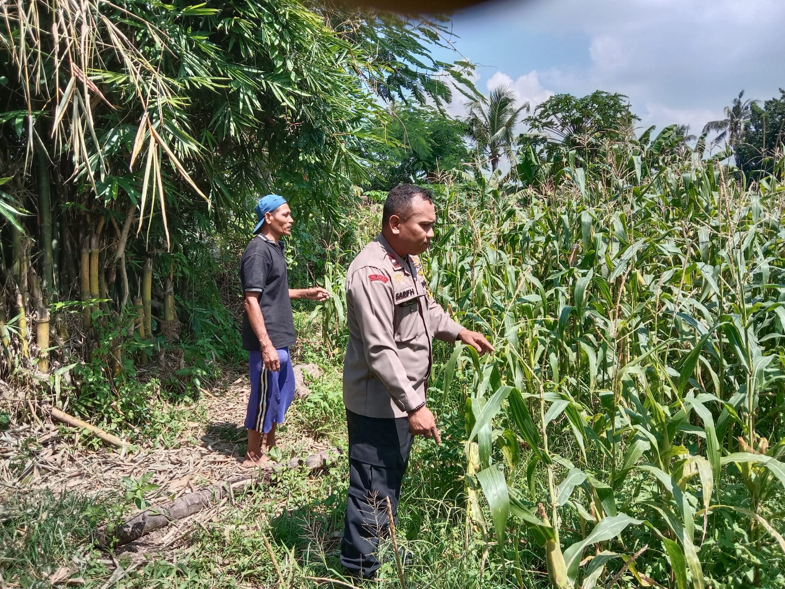 Polisi dan Petani Bersinergi, Ketahanan Pangan Jadi Prioritas!