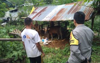 Lombok Barat Mandiri Pangan, Ini Peran Aktif Polisi