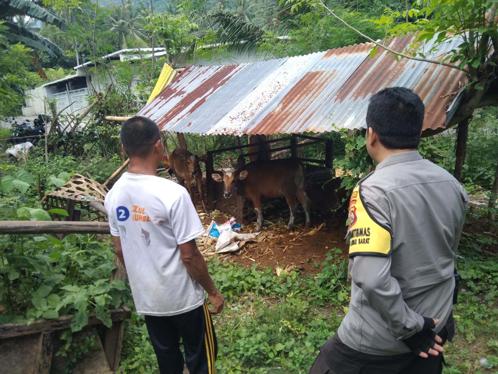 Lombok Barat Mandiri Pangan, Ini Peran Aktif Polisi