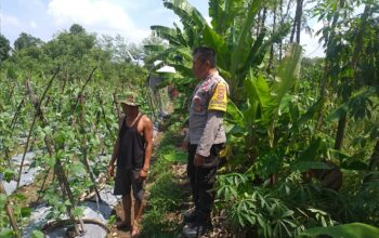 Polsek Kuripan Dorong Ketahanan Pangan, Warga Antusias!