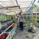 Polri Terlibat Aktif dalam Ketahanan Pangan Nasional melalui Kegiatan Sambang di Lombok Barat