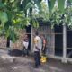 Bhabinkamtibmas Labuapi Aktif Dorong Ketahanan Pangan di Tingkat Petani
