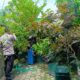 Sinergi Polri-Warga Lombok Barat Wujudkan Swasembada Pangan dari Rumah