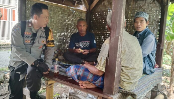 Inisiatif Ketahanan Pangan Warga Batulayar Barat melalui Lahan Pekarangan