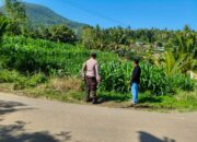 Sinergi Polri dan Petani Dorong Produktivitas Jagung di Lembar
