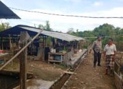 Polri Aktif Kembangkan Swasembada Pangan di Desa Merembu